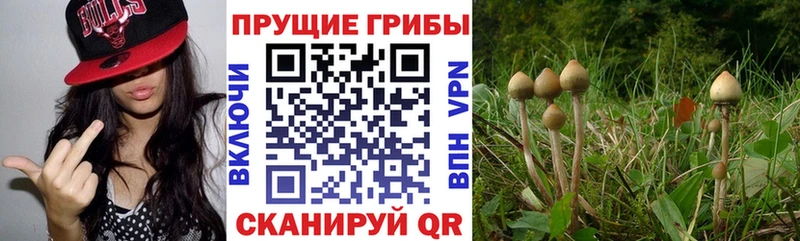 мега рабочий сайт  Белорецк  Галлюциногенные грибы ЛСД 